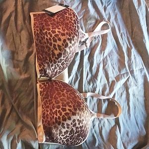 Sophia Vergara size 42DD Bra